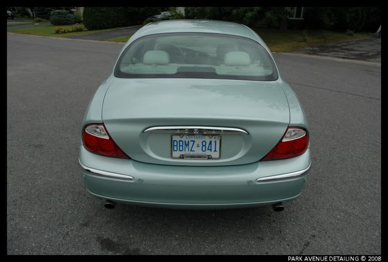 Jaguar36.jpg