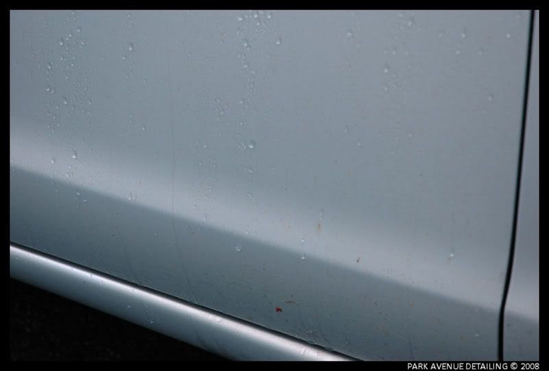 Jaguar5.jpg