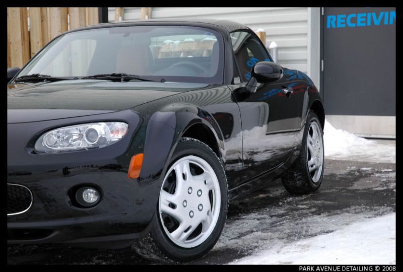 Miata021.jpg