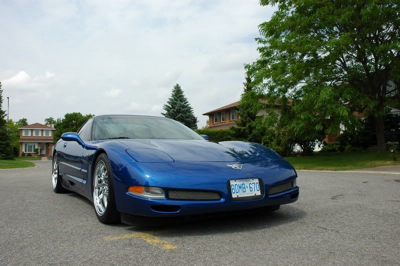Z06002.jpg
