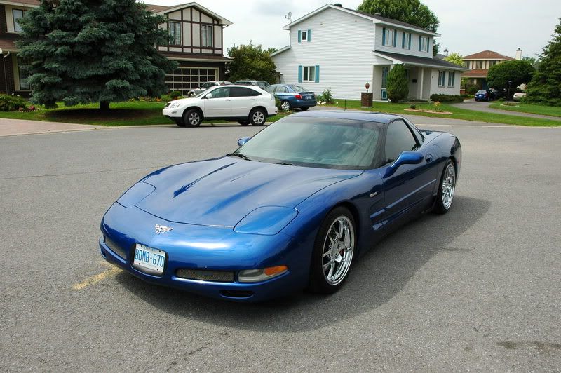 Z06003.jpg