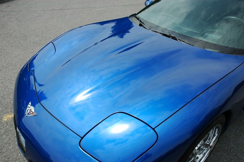 Z06004.jpg