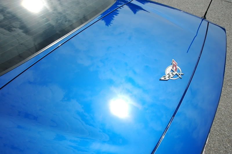 Z06005.jpg