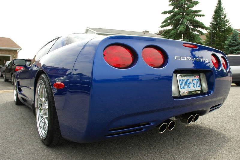 Z06009.jpg