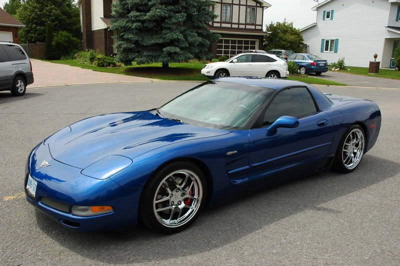 Z06016.jpg
