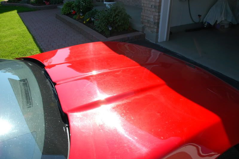 c4vette046.jpg
