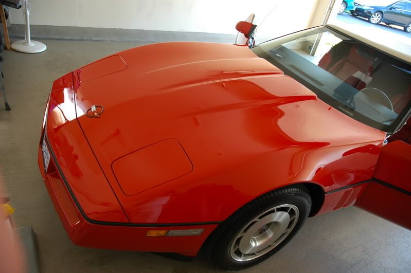 c4vette082.jpg