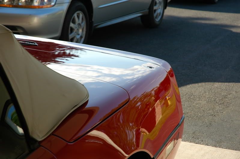 c4vette093.jpg