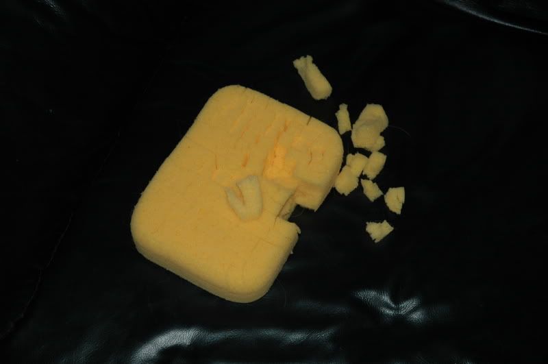 sponge001.jpg