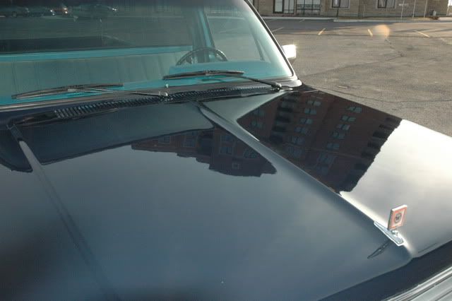 wrangler013-1.jpg
