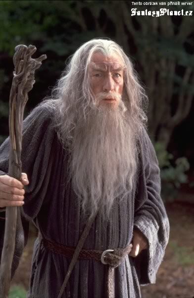 Gandalf_staff.jpg?t=1244392950