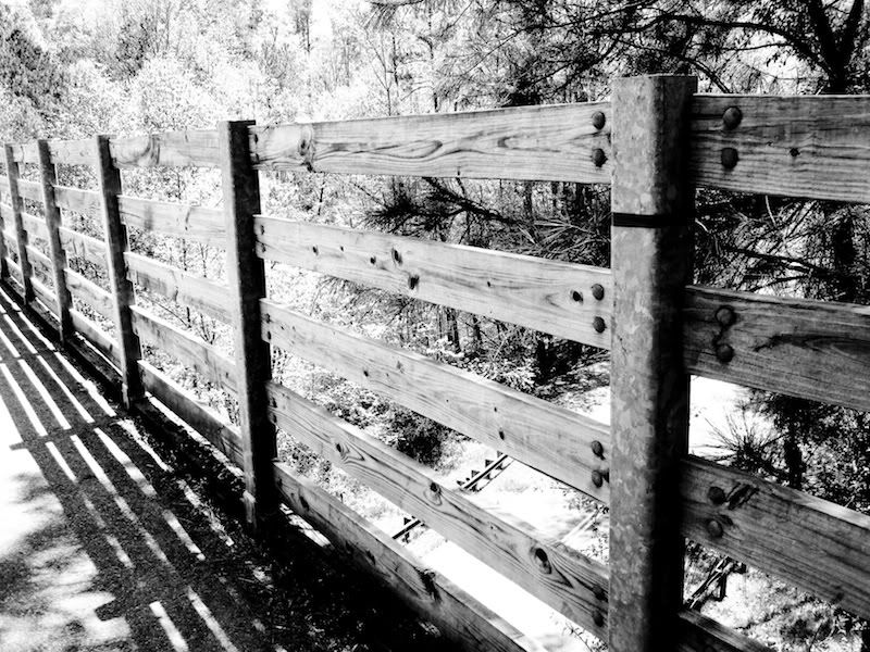 Bridge Fence Picture taken by Demonterious Lawrence