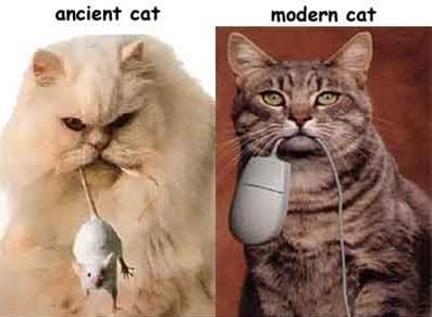 Ancient Cat to modern Cat Pictures, Images and Photos