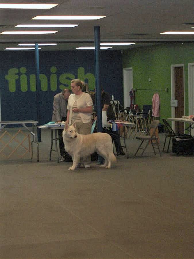 Keeley at the show