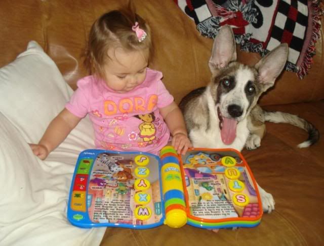 baby panda shepherd girl and amber
