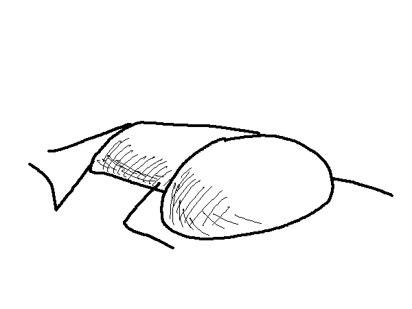 Panel #1