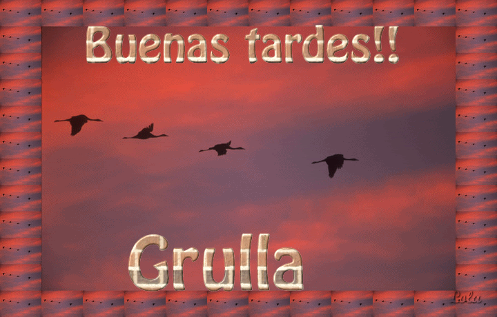 BuenastardesconGrullas.gif picture by Grullagrace