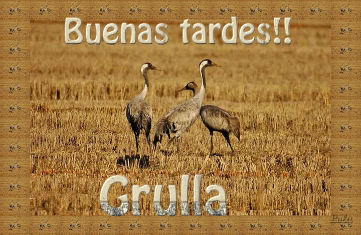 Buenastardescongrullas1.gif picture by Grullagrace