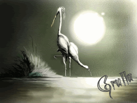 Grullaconluna-1.gif picture by Grullagrace