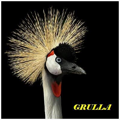 GrullareinaconfirmaGrulla.jpg picture by Grullagrace