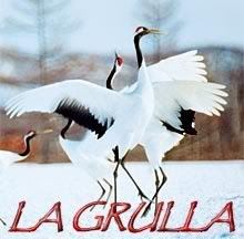 p15LAGRULLA.jpg picture by Grullagrace