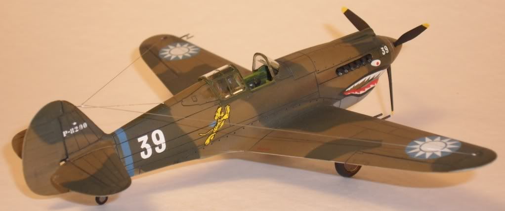 P-40RightRearQtrLow.jpg