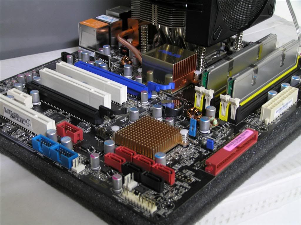 p5bp_02.jpg