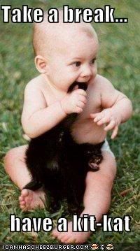 baby-eats-black-cat-tail.jpg