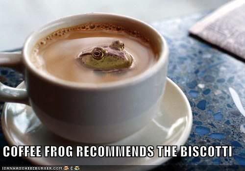 coffee-frog-biscotti3.jpg