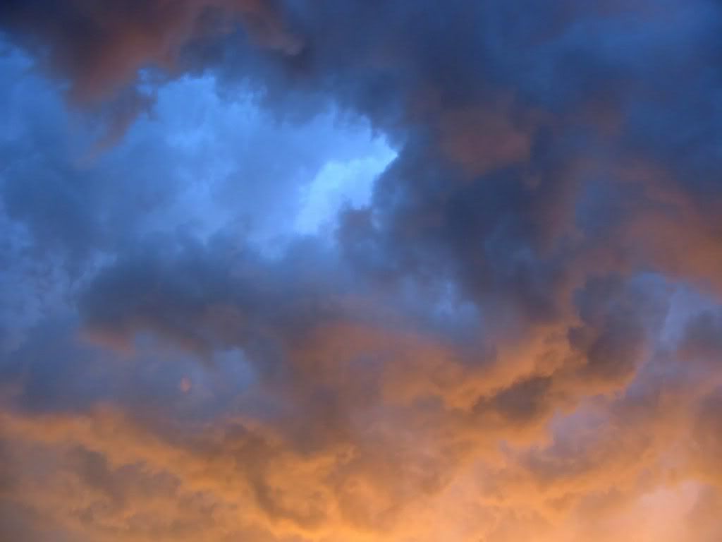 00296_temperatureconcert_1600x1200.jpg