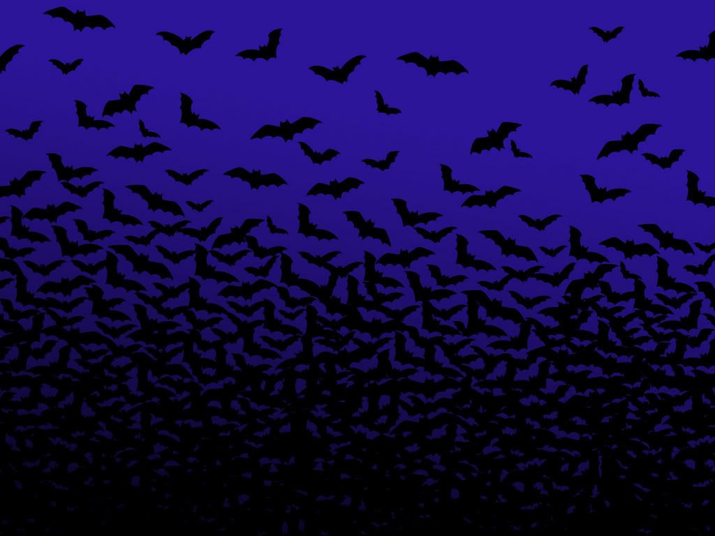 BatsAreGood_1600.jpg