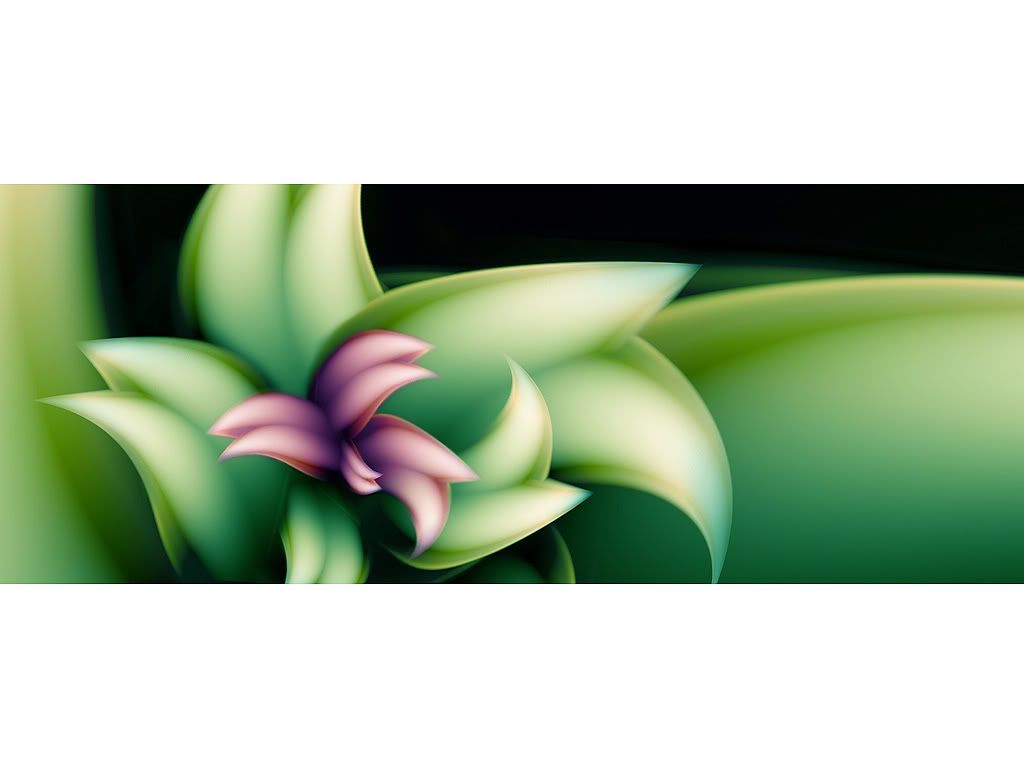 Dolphin-Fantasy-Flower_1024.jpg