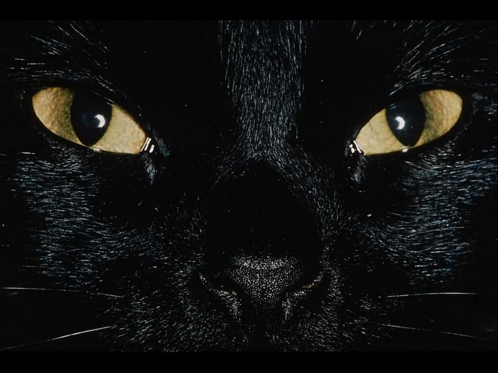 Wallpaper35.jpg