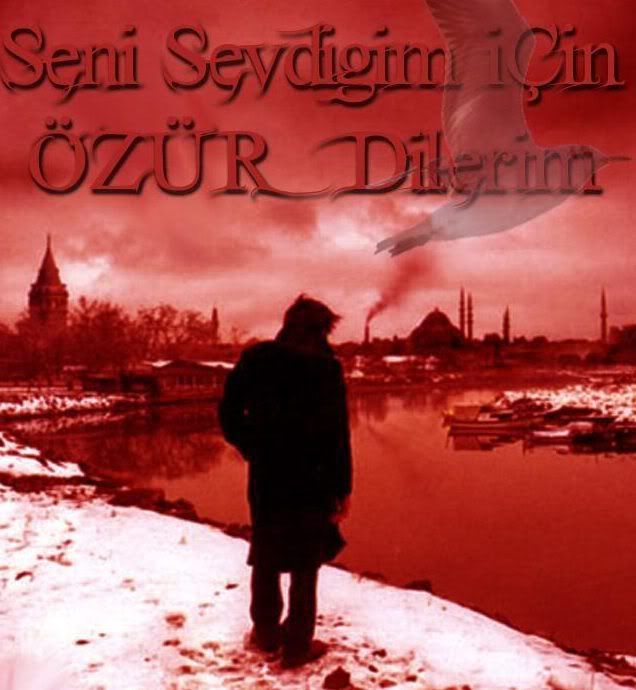 amandikkatkaynaalmty7mfef2.jpg
