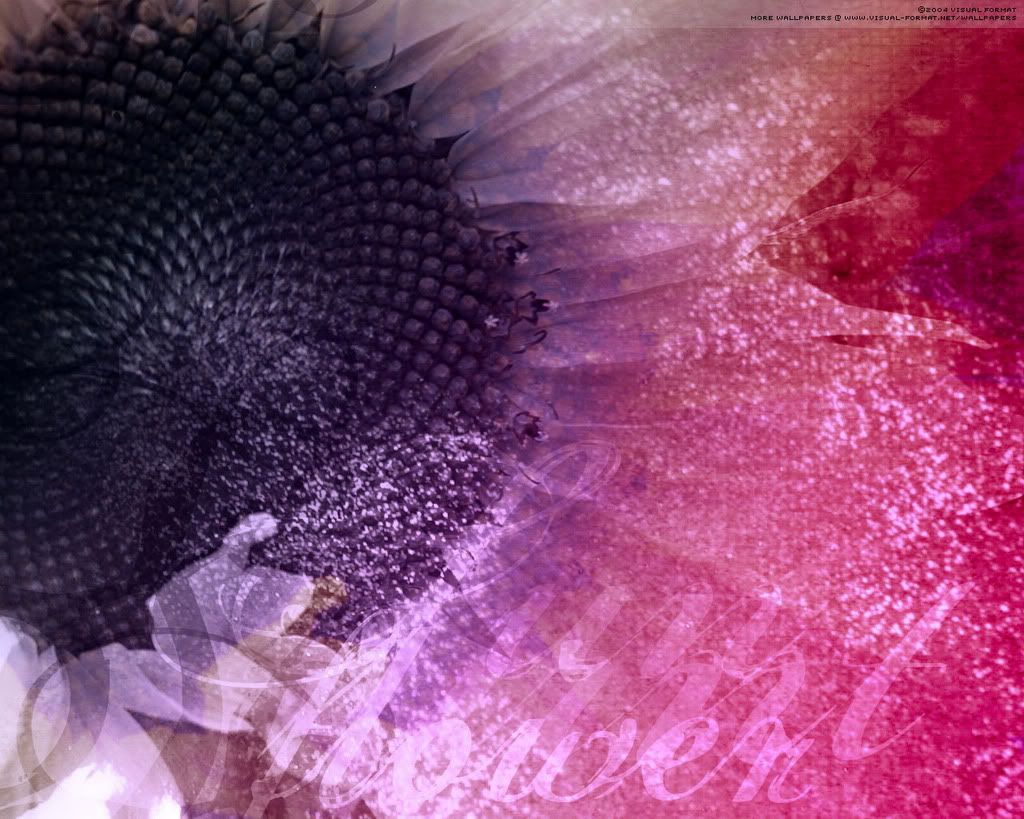 burnt_pink_1280.jpg
