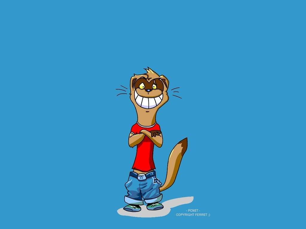 ferret.jpg