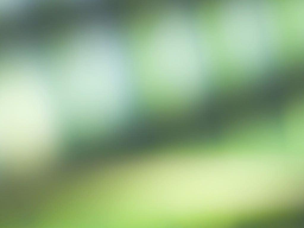 green_dream_1600.jpg