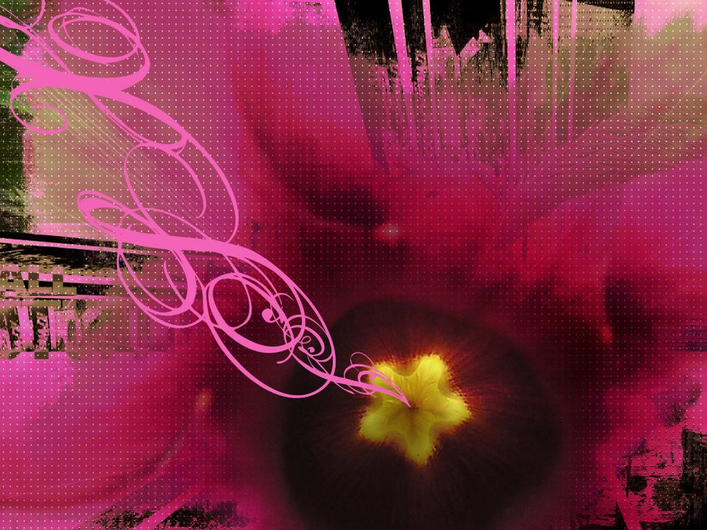 macroflower_1024.jpg