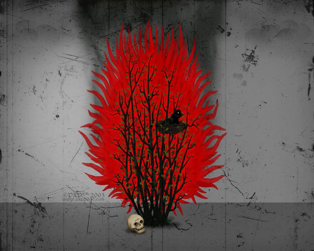 wall_baum_1280.jpg