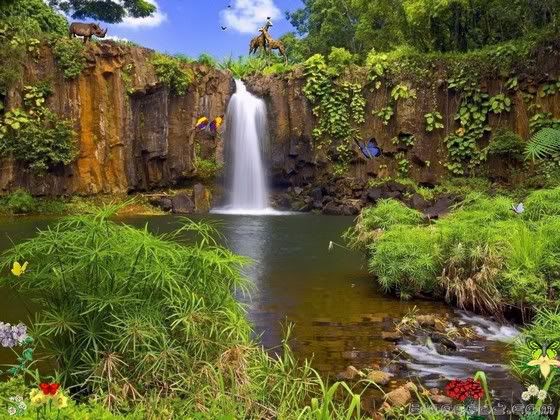 Nature Reserve Screensaver - Salvapantalla de Naturaleza Animado ...