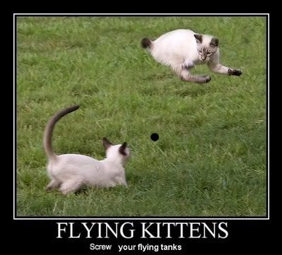 Flycats.jpg