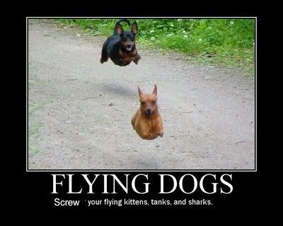 Flydogs.jpg