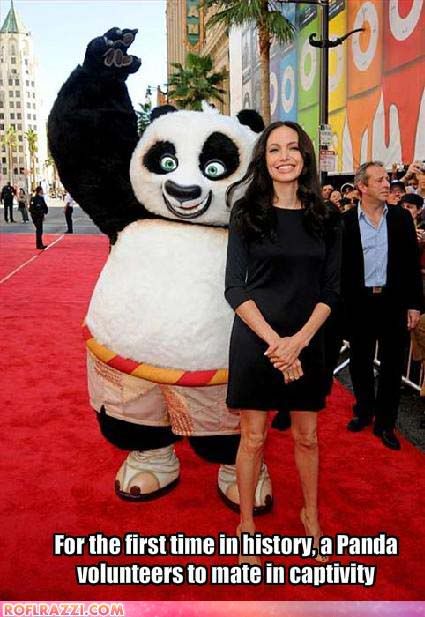 celebrity-pictures-jolie-panda-mate.jpg