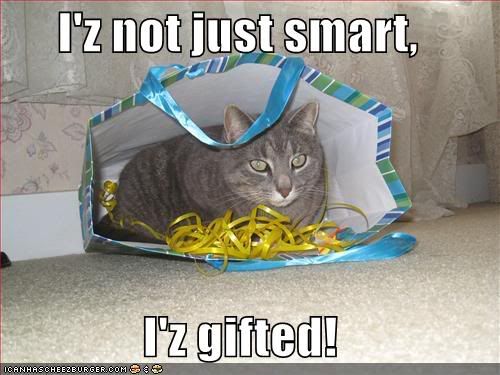funny-pictures-smart-cat-gift-bag.jpg