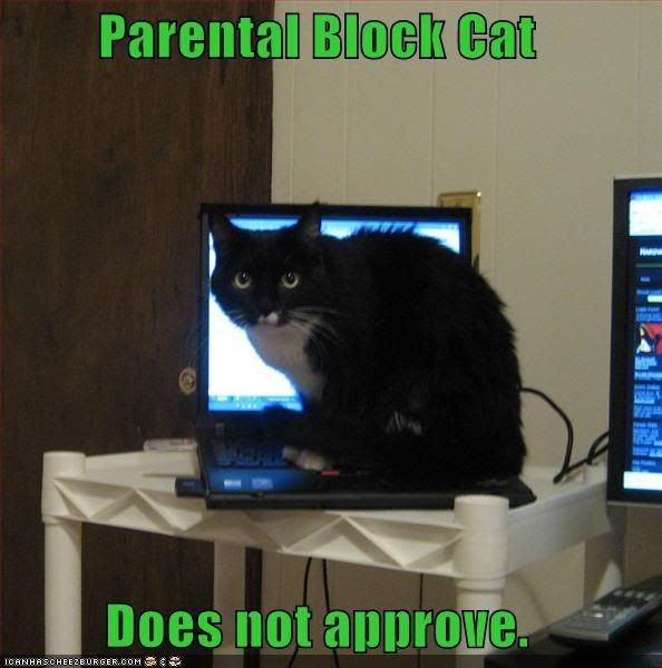 parental-block-cat.jpg