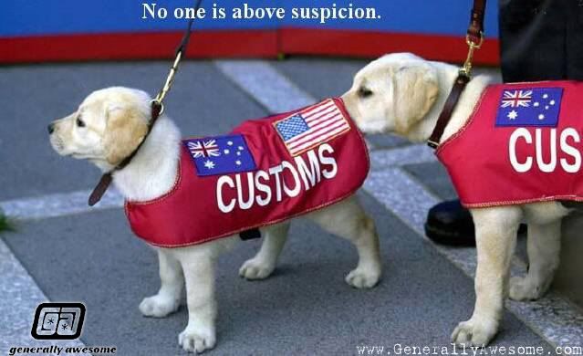 suspicion-is-funny.jpg