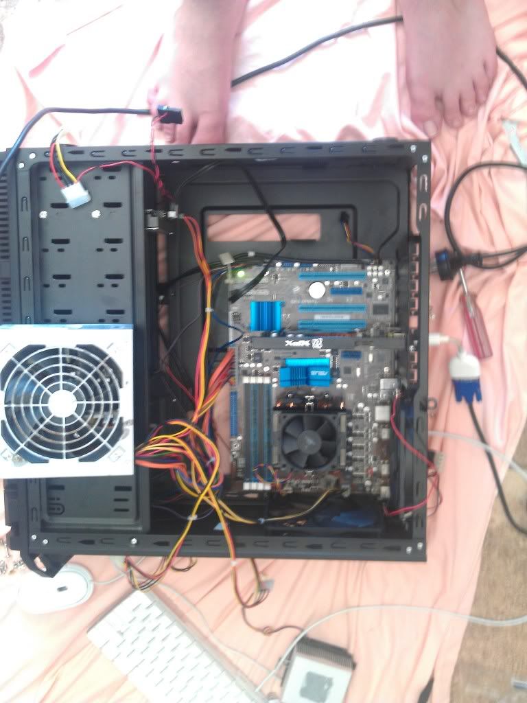 IMAG0090.jpg