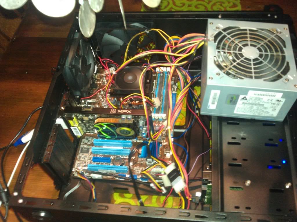 IMAG0095.jpg