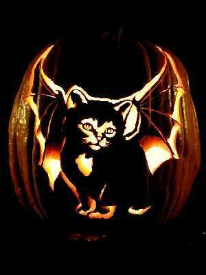pumpkin bat photo: Bat Cat Pumpkin cat-BatCat3_______________.jpg