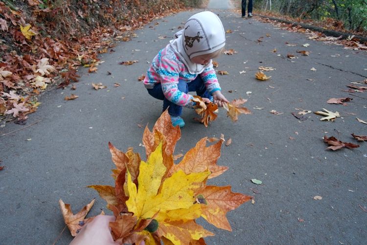 photo SAM_4352-2_zpsbsdws5xi.jpg